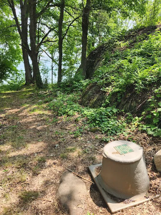 Grassy Islands South - K9 Campsite Picture 7