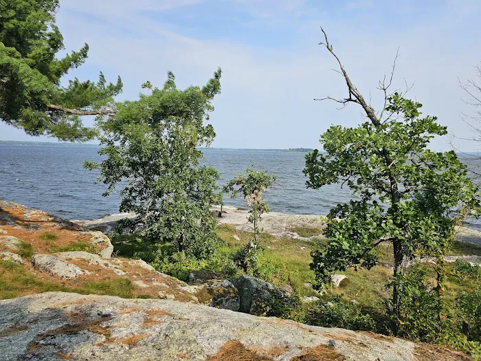 Grassy Islands South - K9 Campsite Picture 5