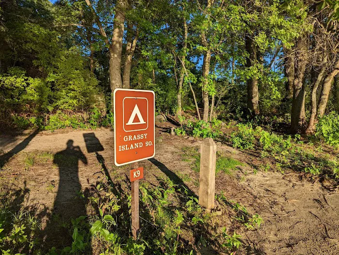 Grassy Islands South - K9 Campsite Picture 3