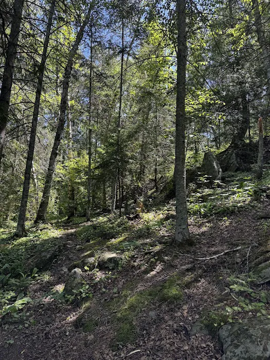 HB Sugarbush Island West K33 Houseboat Campsite Picture 1