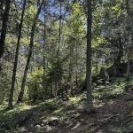 HB Sugarbush Island West K33 Houseboat Campsite