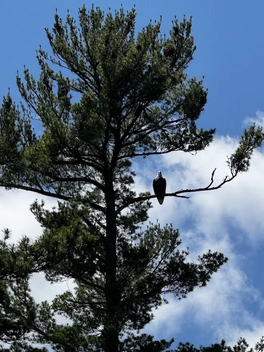 HB Sugarbush Island West K33 Houseboat Campsite Picture 8