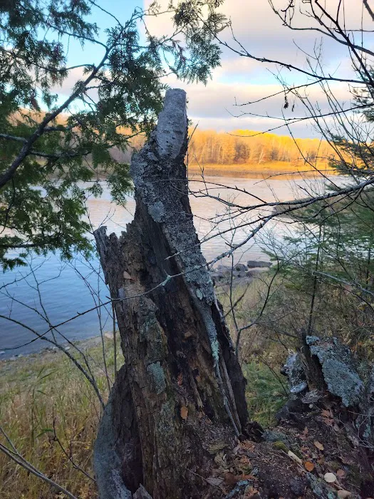 FRANZ JEVNE STATE PARK CAMPGROUND Picture 7