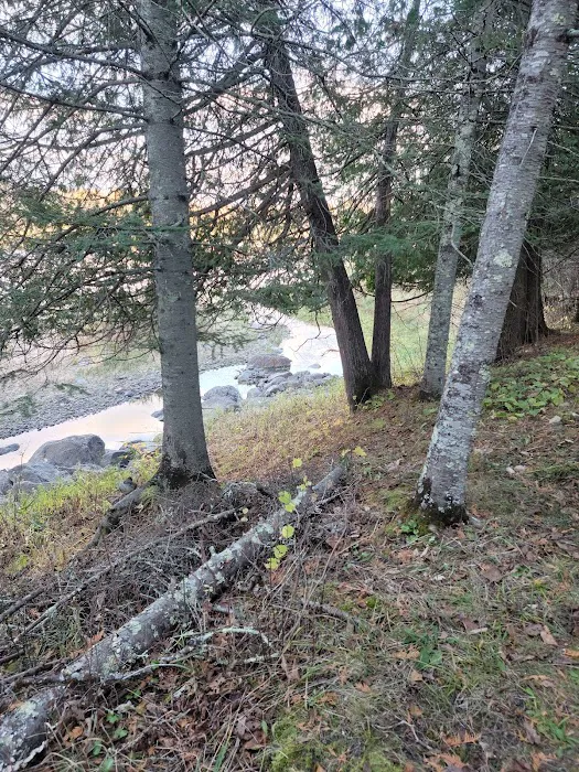 FRANZ JEVNE STATE PARK CAMPGROUND Picture 2