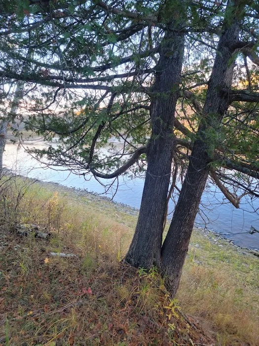 FRANZ JEVNE STATE PARK CAMPGROUND Picture 8