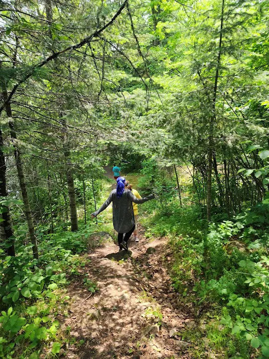 FRANZ JEVNE STATE PARK CAMPGROUND Picture 6