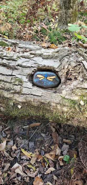 FRANZ JEVNE STATE PARK CAMPGROUND Picture 10