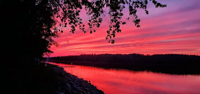 Nelson's Park Picture 8