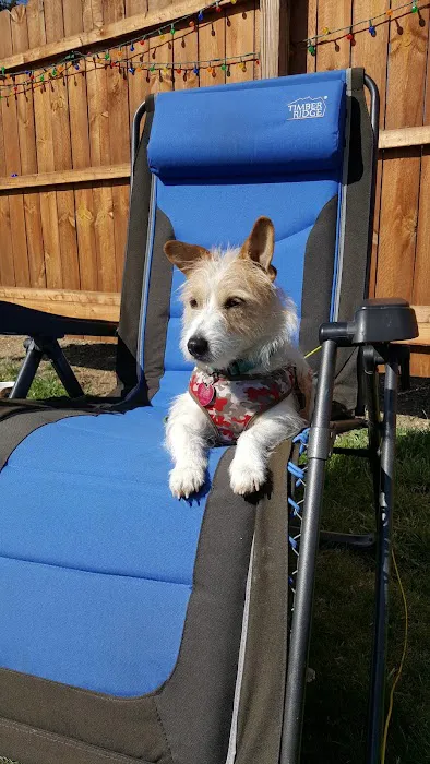 Creekside Campground, seasonal camping Picture 6