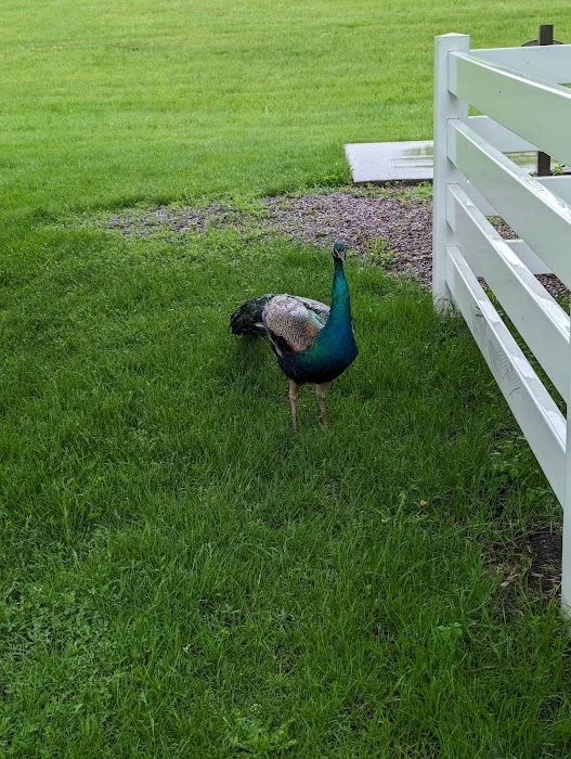 Chahinkapa Zoo Campground Picture 6