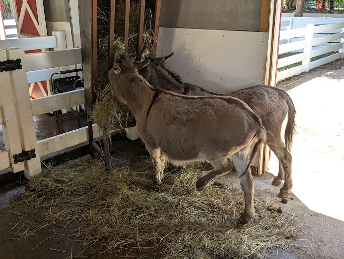 Chahinkapa Zoo Campground Picture 1
