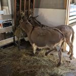 Chahinkapa Zoo Campground
