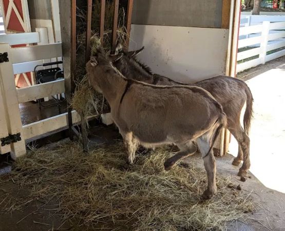 Chahinkapa Zoo Campground