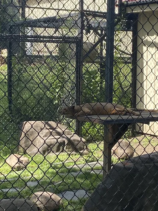 Chahinkapa Zoo Campground Picture 7