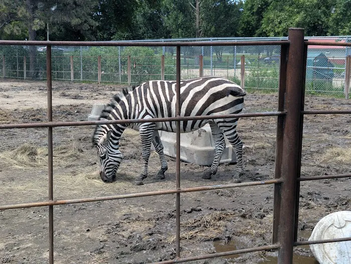 Chahinkapa Zoo Campground Picture 8
