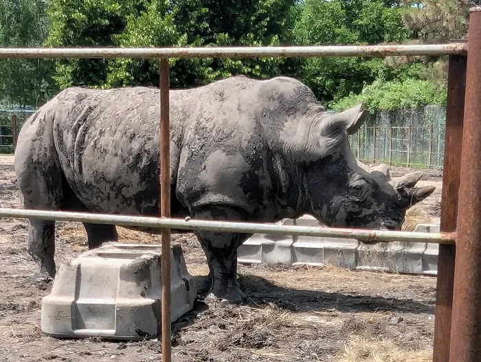 Chahinkapa Zoo Campground Picture 4