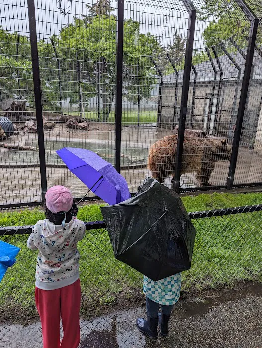 Chahinkapa Zoo Campground Picture 10
