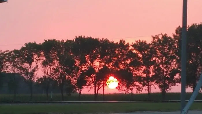 Mooreton City Park Picture 1