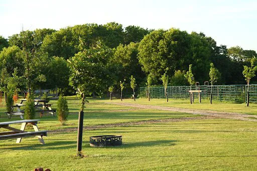 Sheyenne Oaks Campground Picture 9