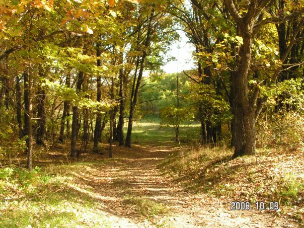 Sheyenne Oaks Campground Picture 4