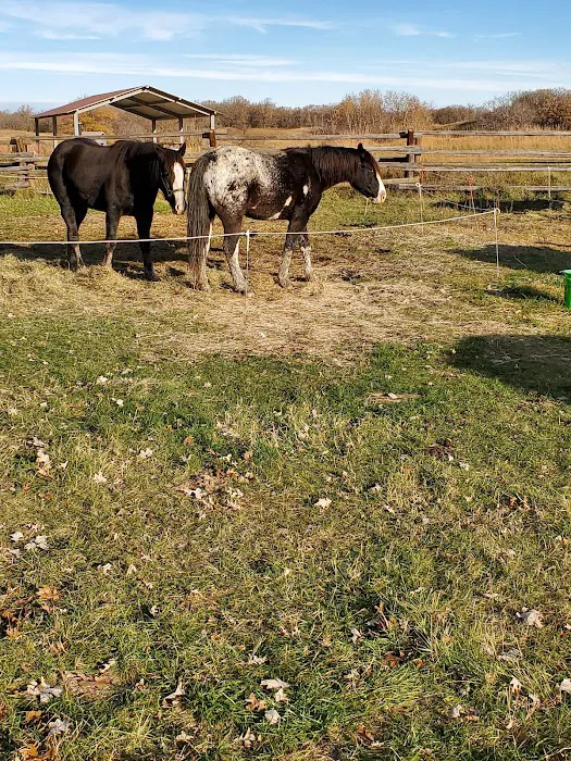 Hankinson Hills Campground Picture 8