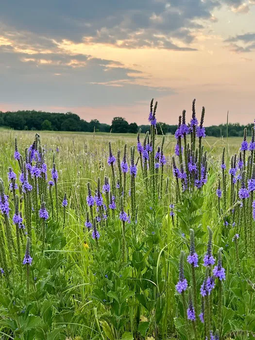 Sheyenne National Grassland Picture 9