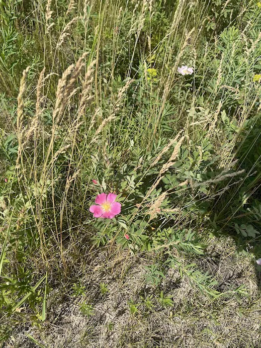 Sheyenne National Grassland Picture 6