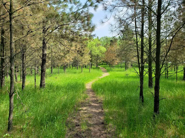 Sheyenne National Grassland Picture 3