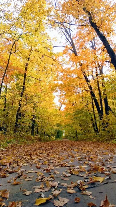 Union Lake Sarah Campground Picture 6