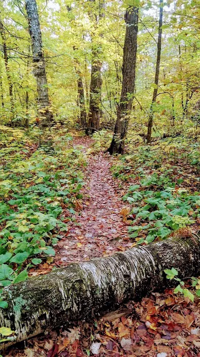 Union Lake Sarah Campground Picture 4