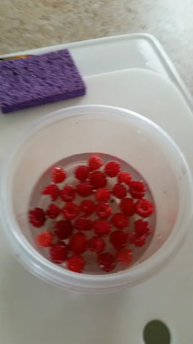 Lake Cameron RV Park and Campground Picture 1