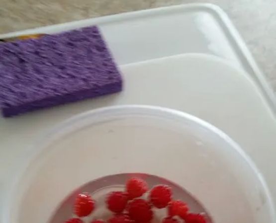 Lake Cameron RV Park and Campground