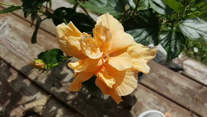 Golden Pond Campground LLC Picture 7