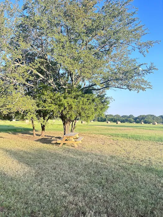 Pull Through RV Park Picture 2