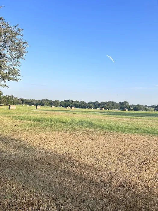 Pull Through RV Park Picture 1