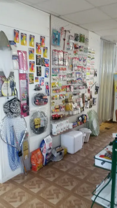 Sunset Cove Marina- Campground & RV Resort Picture 9