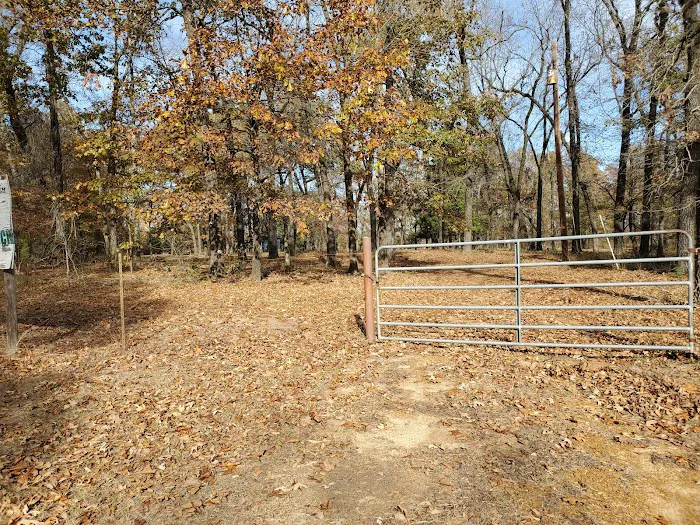 First Presbyterian Church of Paris, Scout Camp Picture 1