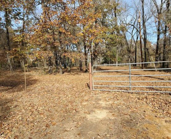 First Presbyterian Church of Paris, Scout Camp