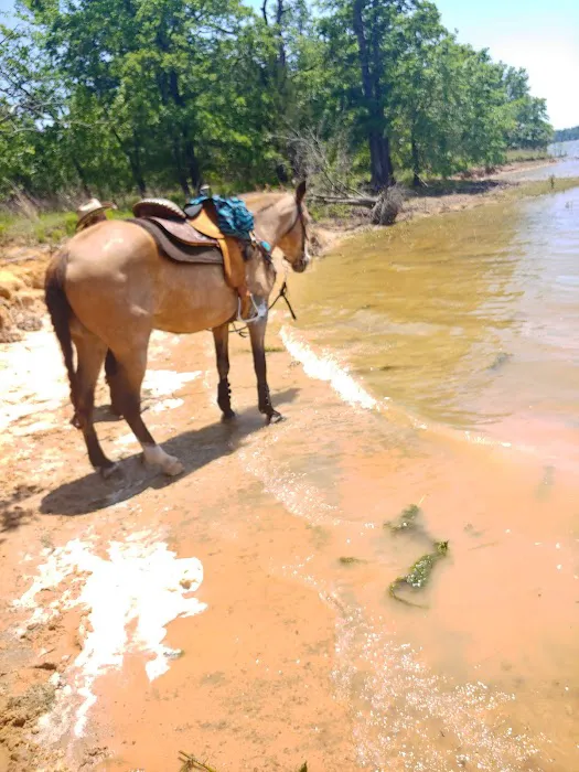 Pat Mayse East Campground Picture 8
