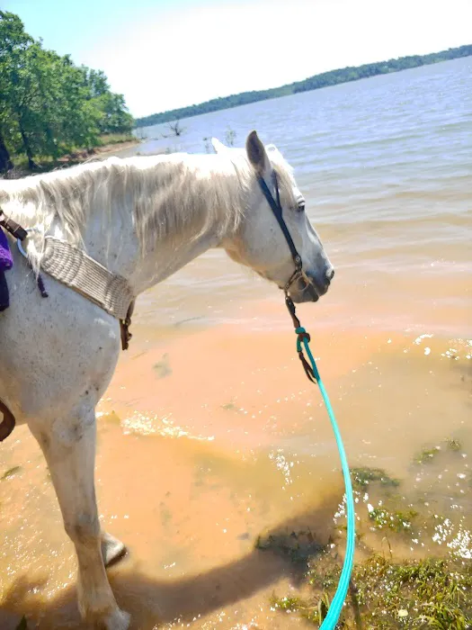 Pat Mayse East Campground Picture 1