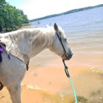 Pat Mayse East Campground