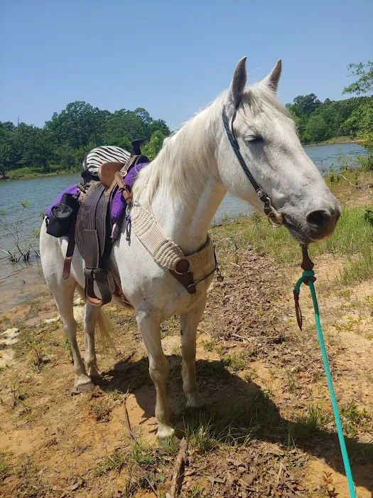Pat Mayse East Campground Picture 3