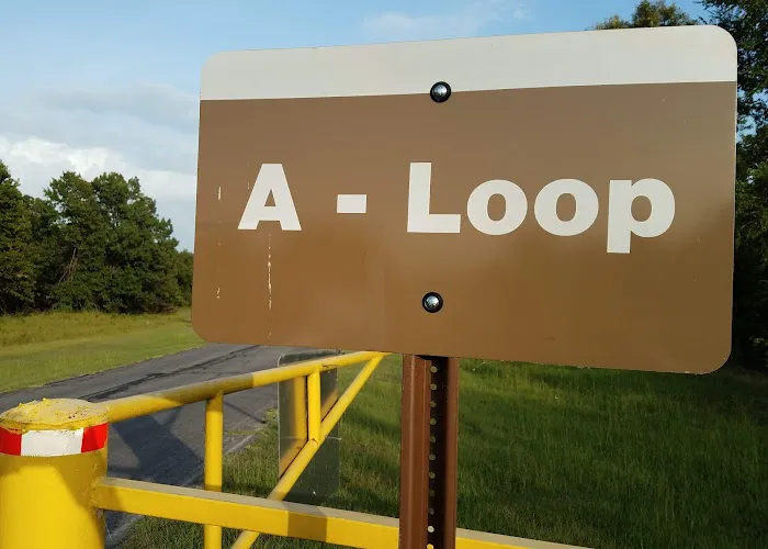 Pat Mayse East Campground Picture 4