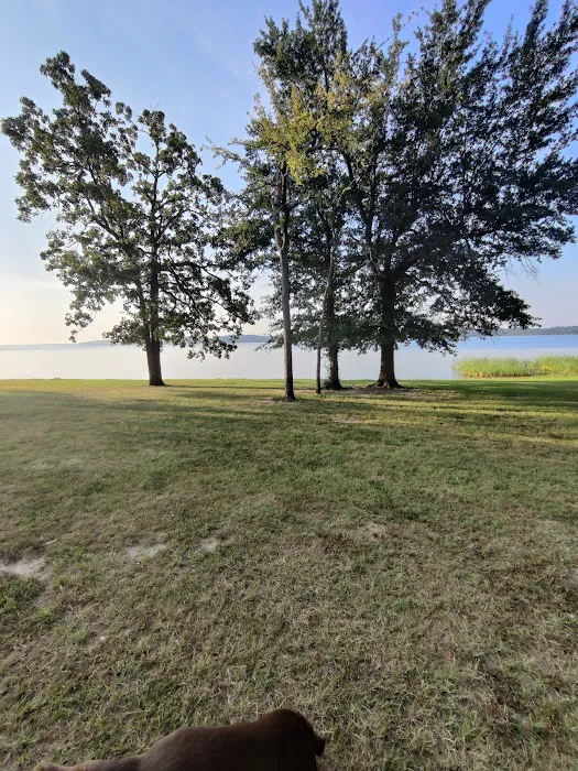 Camp Kiwanis on Pat Mayse Lake Picture 3