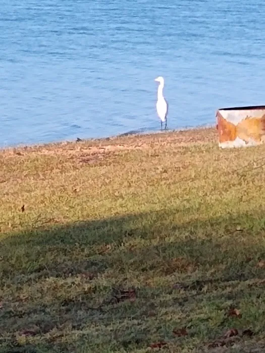 Camp Kiwanis on Pat Mayse Lake Picture 7