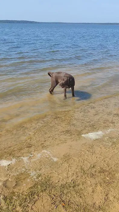 Camp Kiwanis on Pat Mayse Lake Picture 10