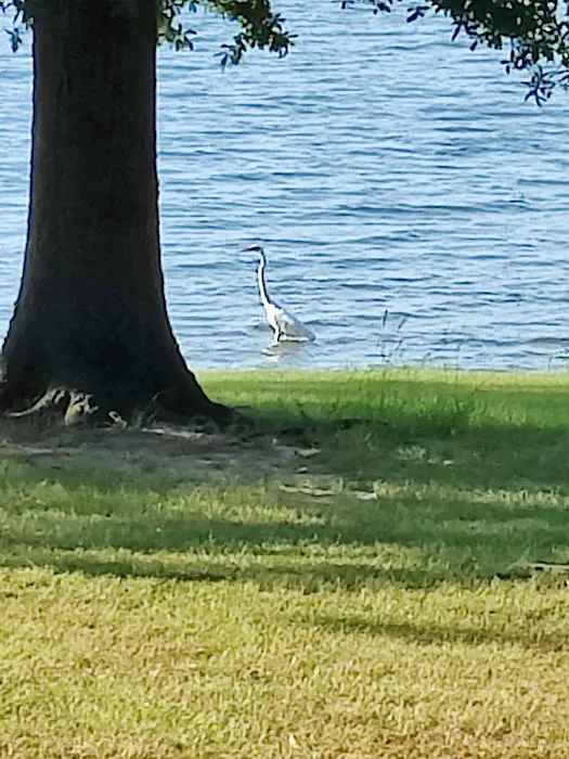 Camp Kiwanis on Pat Mayse Lake Picture 6