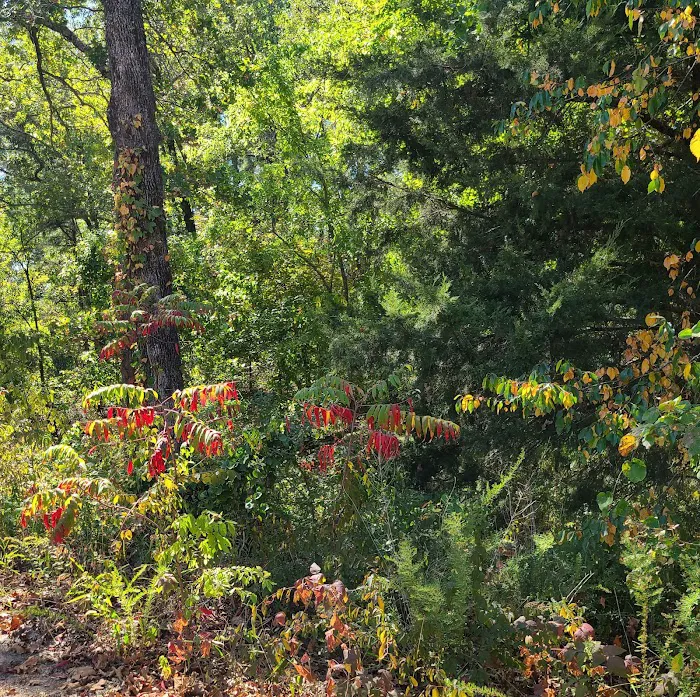 West Lake Davy Crockett Campground Picture 5