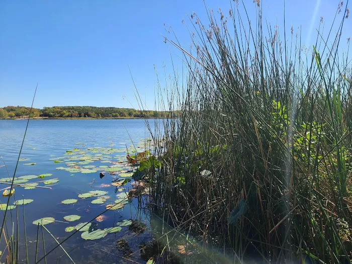 West Lake Davy Crockett Campground Picture 7