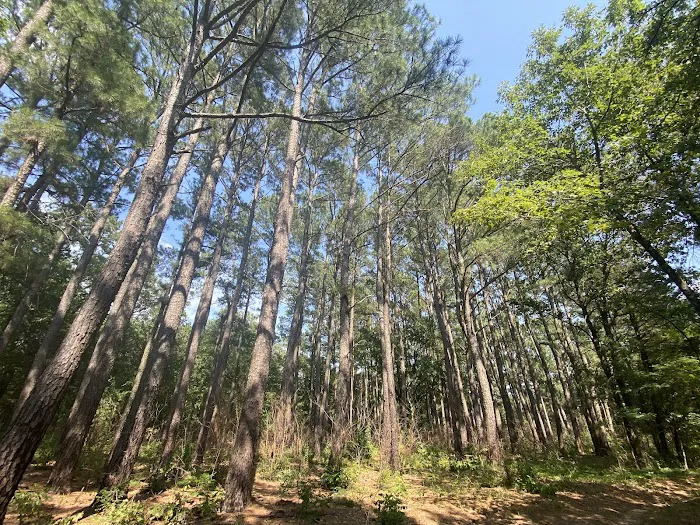 Bois D' Arc Trailhead Campground Picture 7